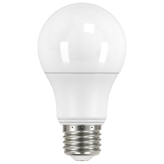 (4-Pack) Light Bulb in Frost