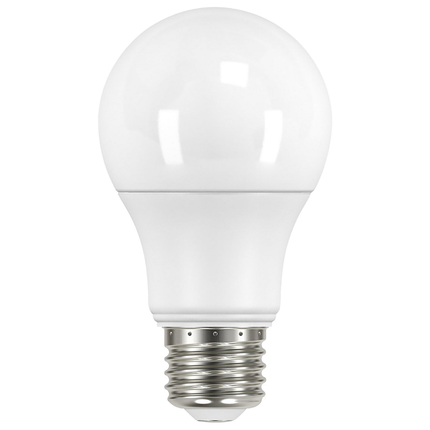 (4-Pack) Light Bulb in Frost