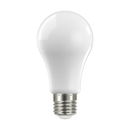 (4-Pack) Light Bulb in Soft White