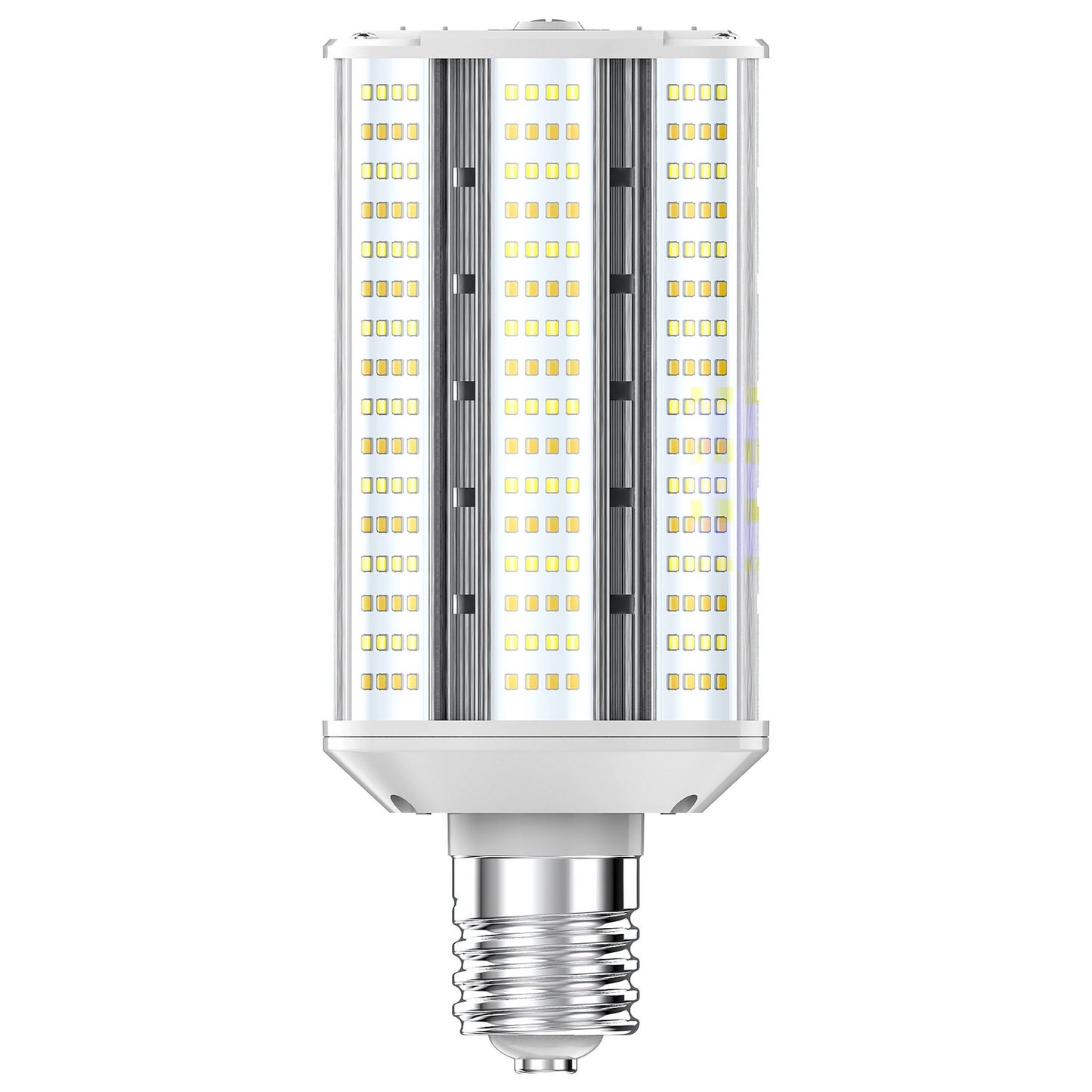 Light Bulb in White
