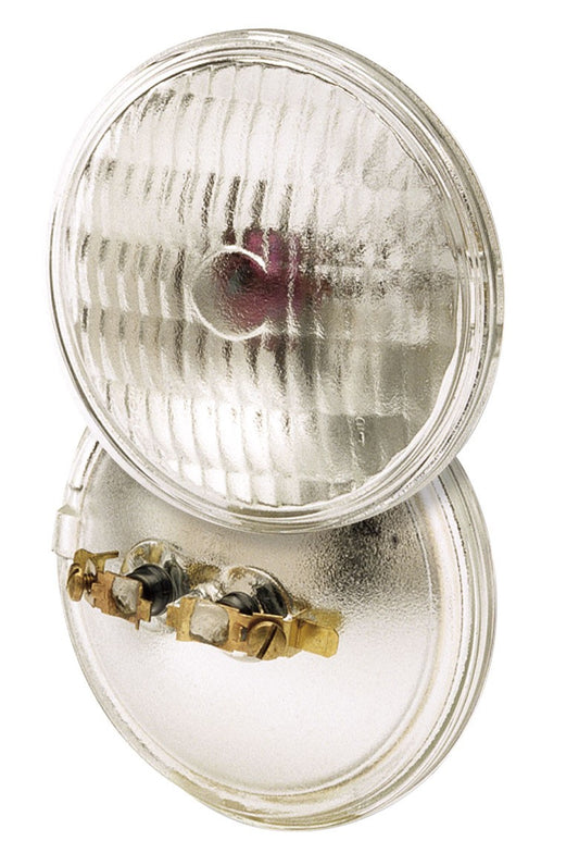 (4-Pack) Light Bulb in Clear