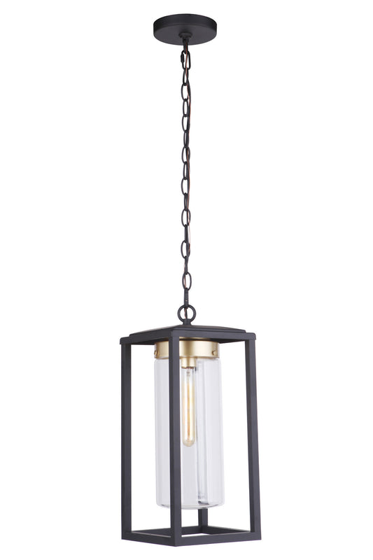 Neo One Light Outdoor Pendant in Midnight / Satin Brass
