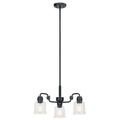 Aivian Three Light Chandelier in Black