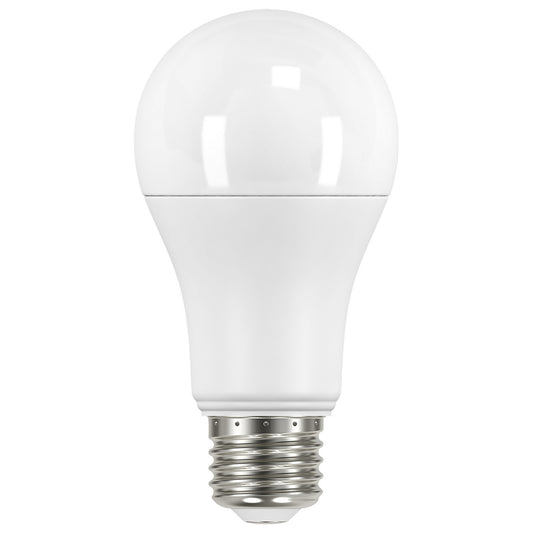 (4-Pack) Light Bulb in Frost