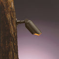 One Light Down Accent in Textured Architectural Bronze