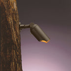One Light Down Accent in Textured Architectural Bronze