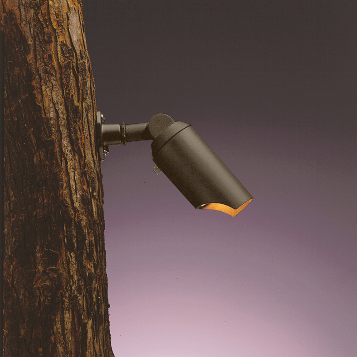 One Light Down Accent in Textured Architectural Bronze