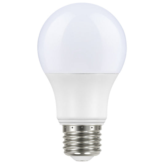 (4-Pack) Light Bulb in Frost