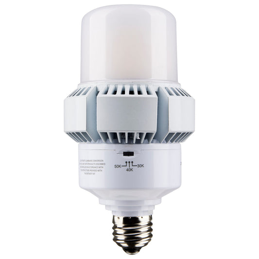 (4-Pack) Light Bulb in White