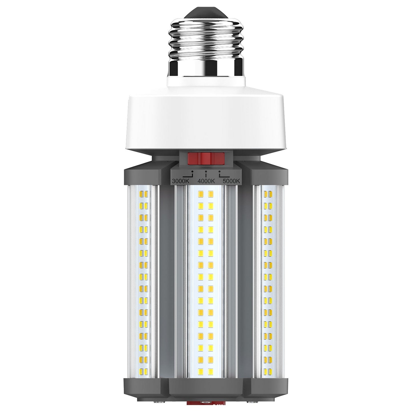 Light Bulb in White