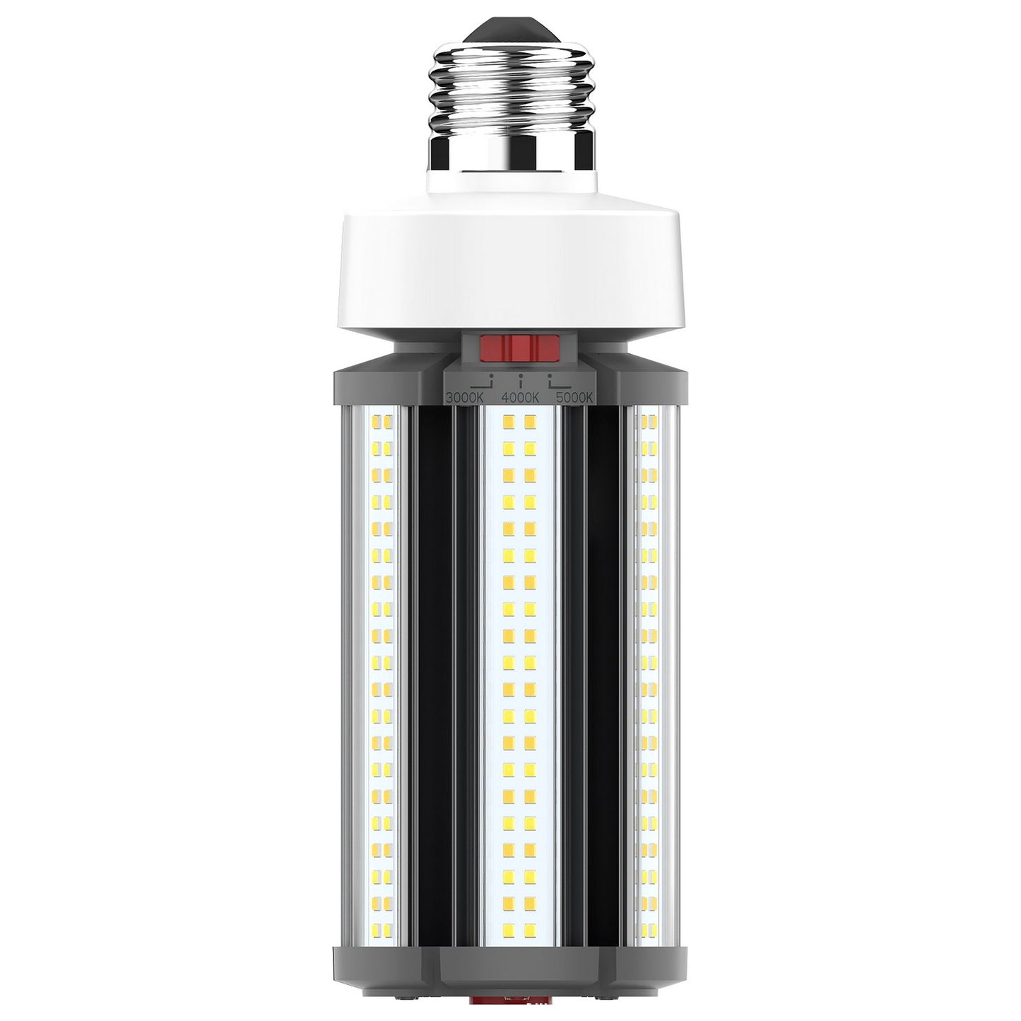 Light Bulb in White