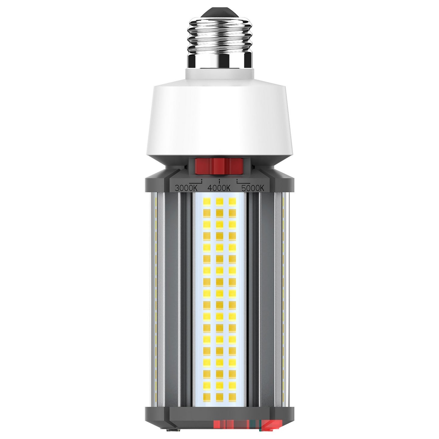 Light Bulb in White