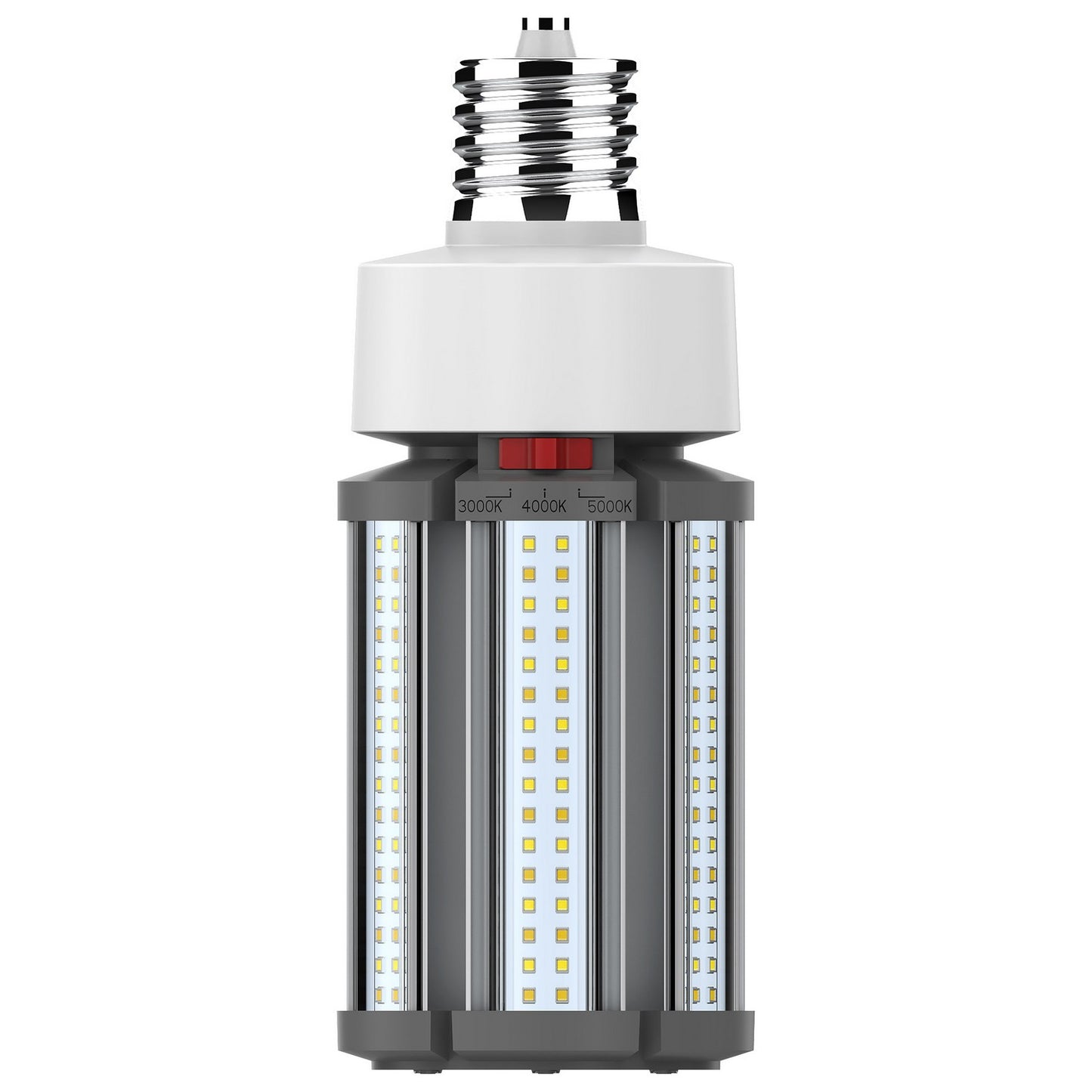 Light Bulb in White