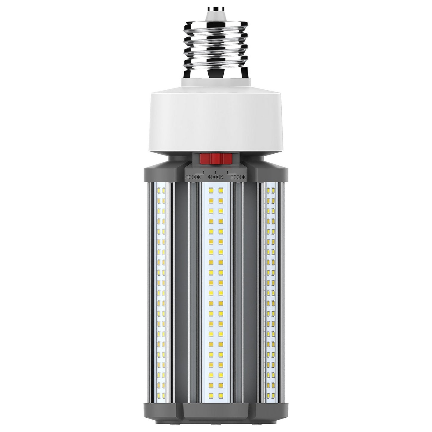 Light Bulb in White