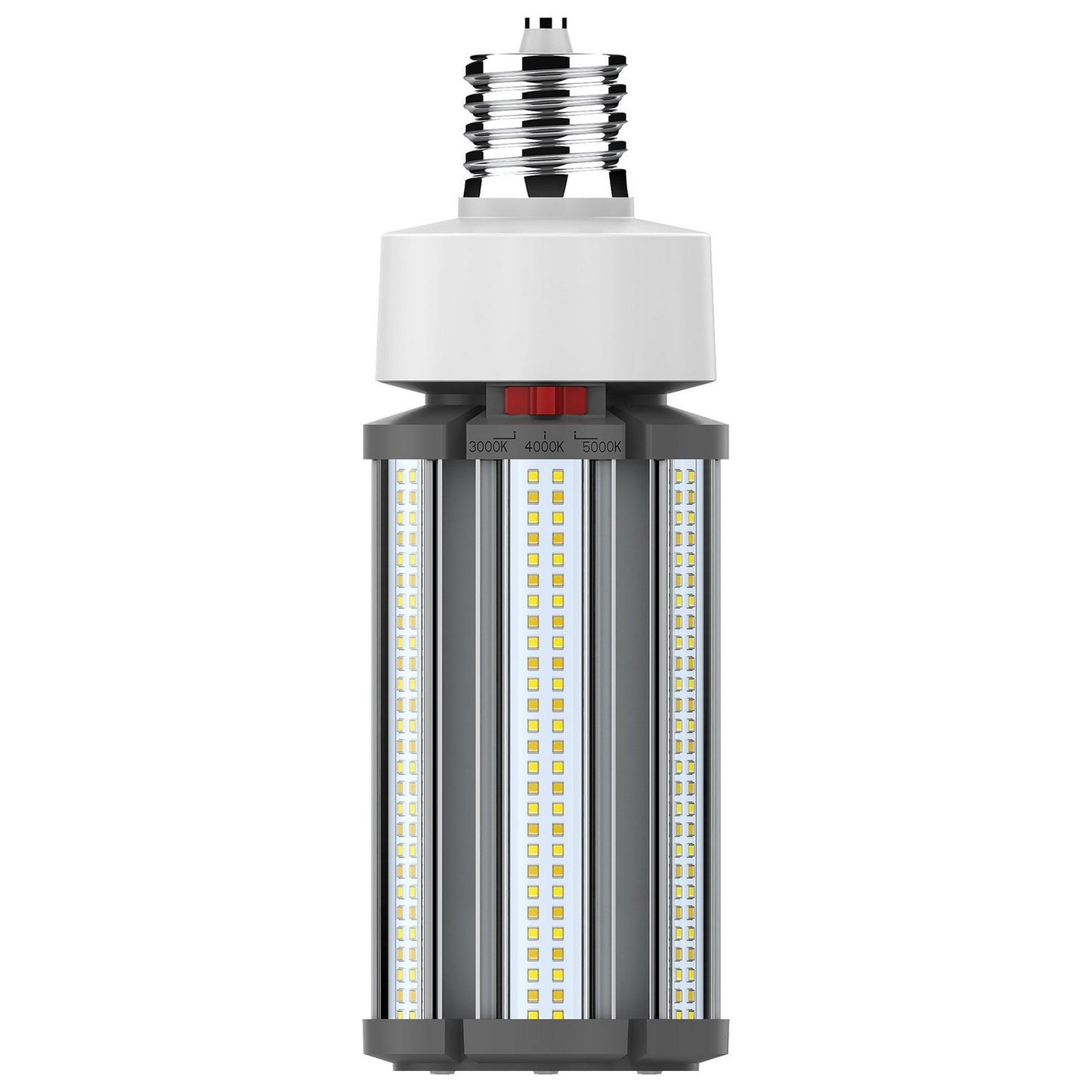 Light Bulb in White