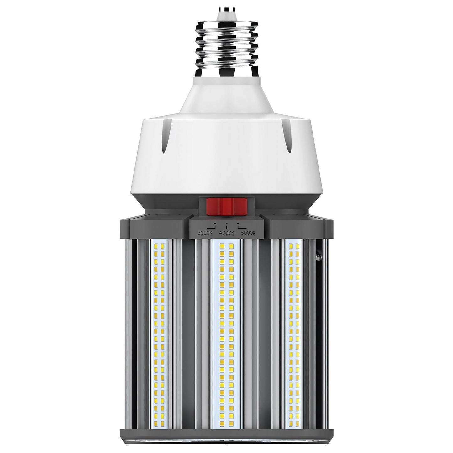 Light Bulb in White