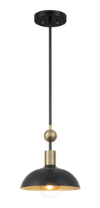BILOXI One Light Pendant in Coal