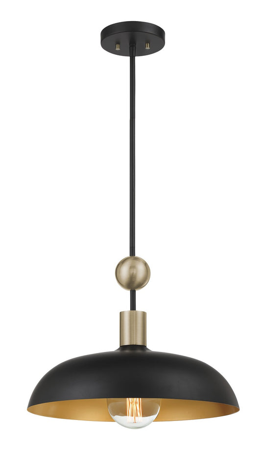 BILOXI One Light Pendant in Coal