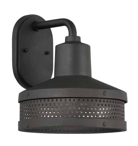 Abalone Point One Light Wall Sconce in Sand Coal