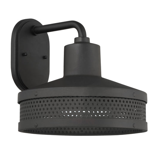 Abalone Point One Light Wall Sconce in Sand Coal