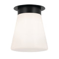 Albers One Light Flush Mount in Black