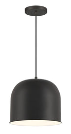 Vantage Pendants One Light Hanging Lantern in Coal