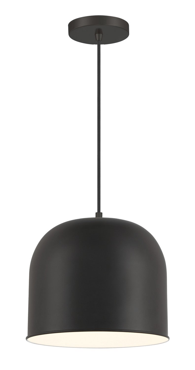 Vantage Pendants One Light Hanging Lantern in Coal