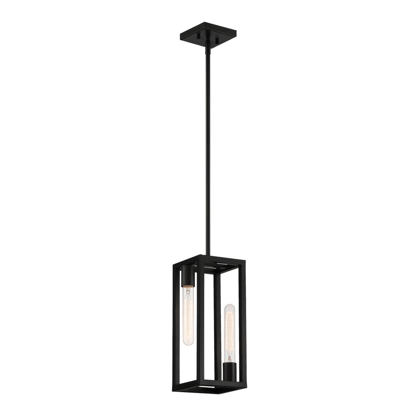 Urban Oasis Two Light Pendant in Matte Black