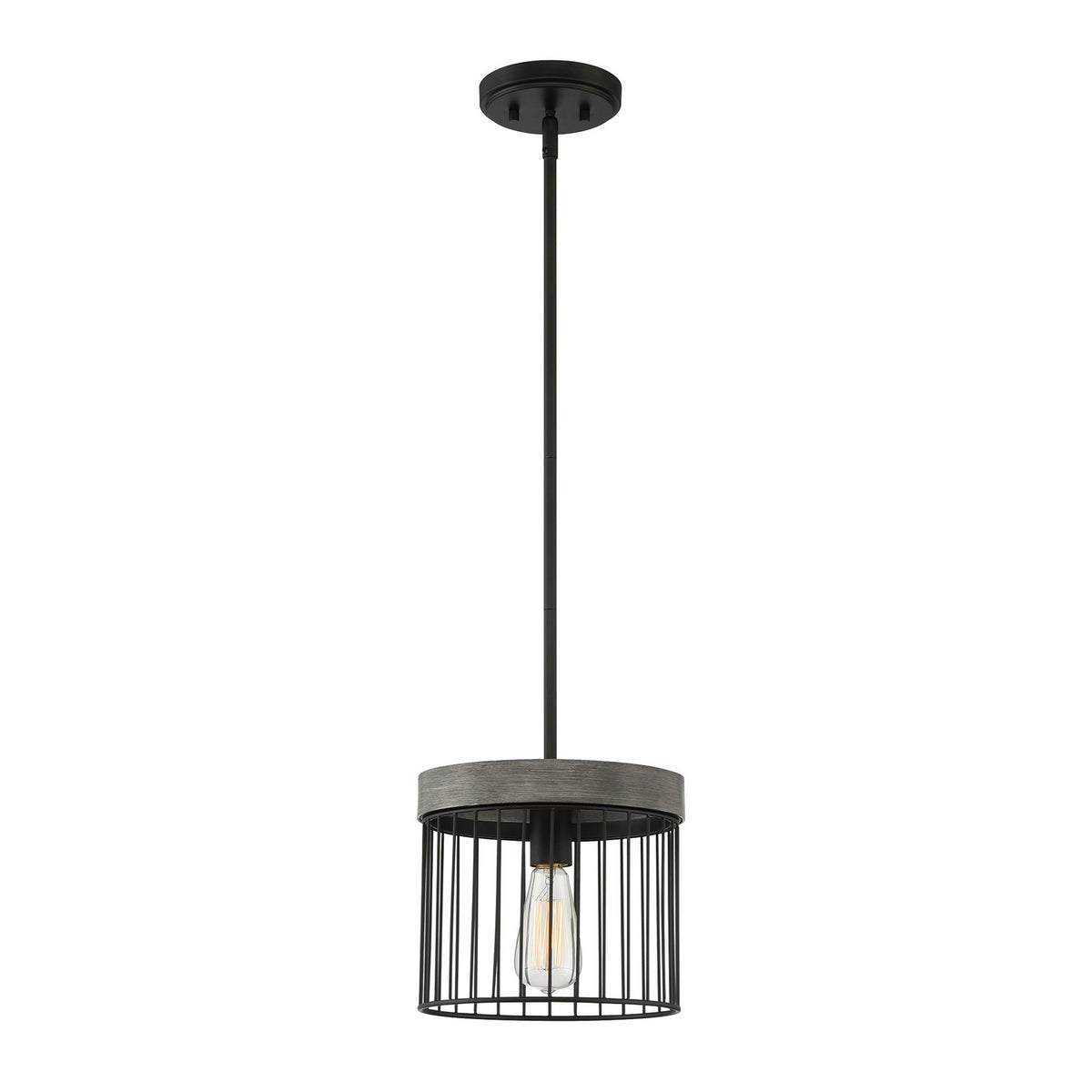 Aster One Light Pendant in Matte Black