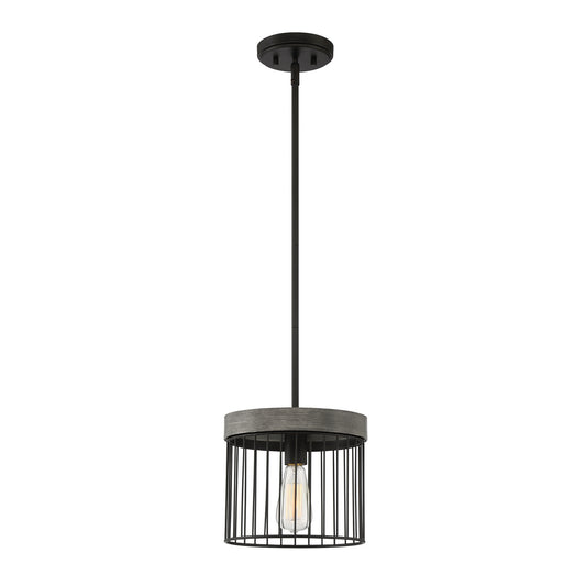 Aster One Light Pendant in Matte Black