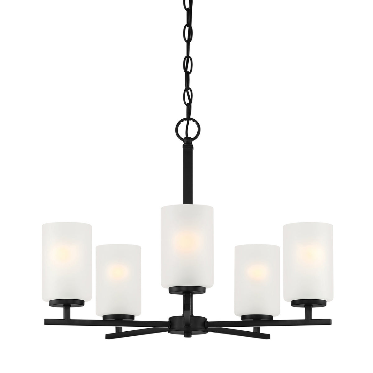 Carmine Five Light Chandelier in Matte Black