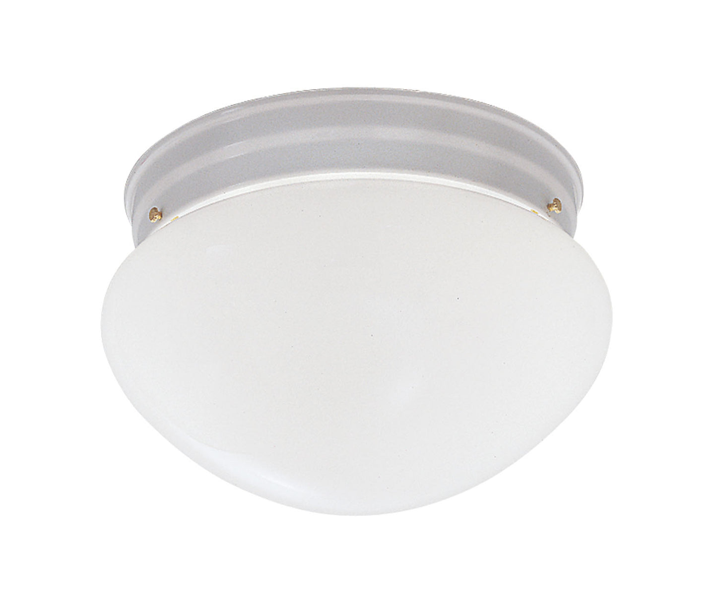 Basic Flushmount Two Light Flushmount in White