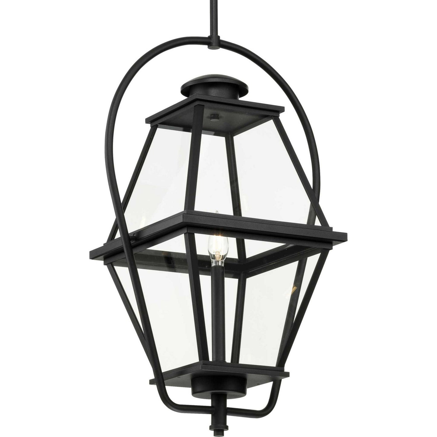 Bradshaw One Light Outdoor Hanging Lantern in Black