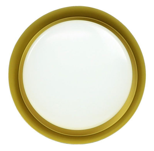 Flush Mount in Black+Golden