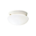 Ceiling Space Two Light Flush Mount in White