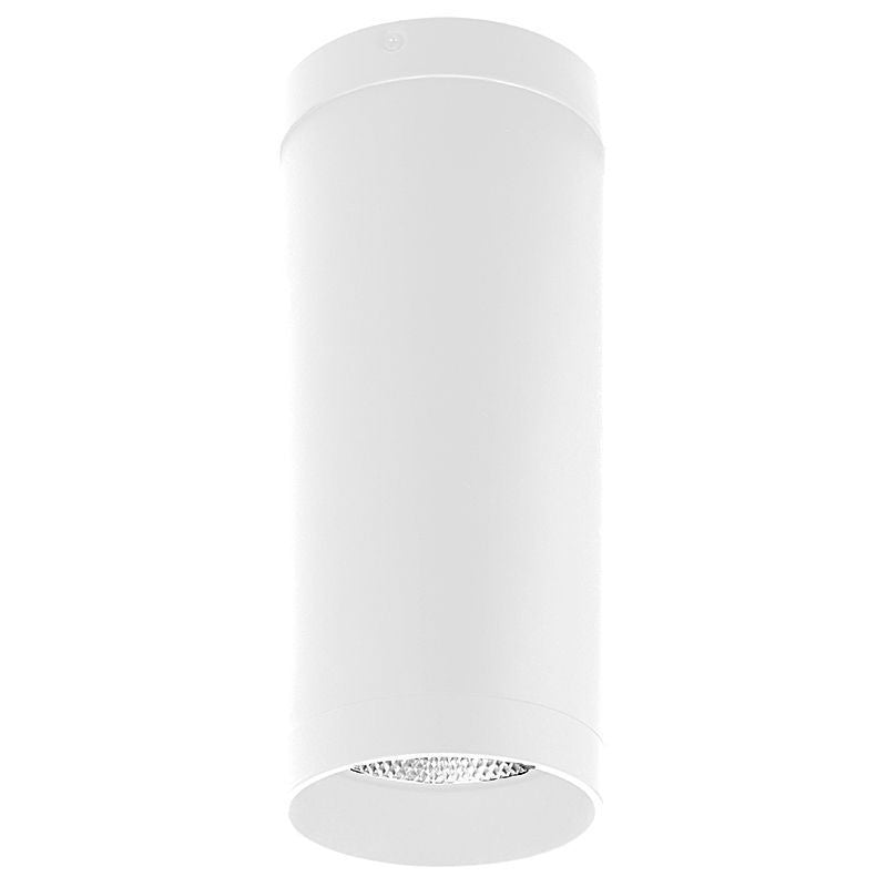 Ceiling Mount in White