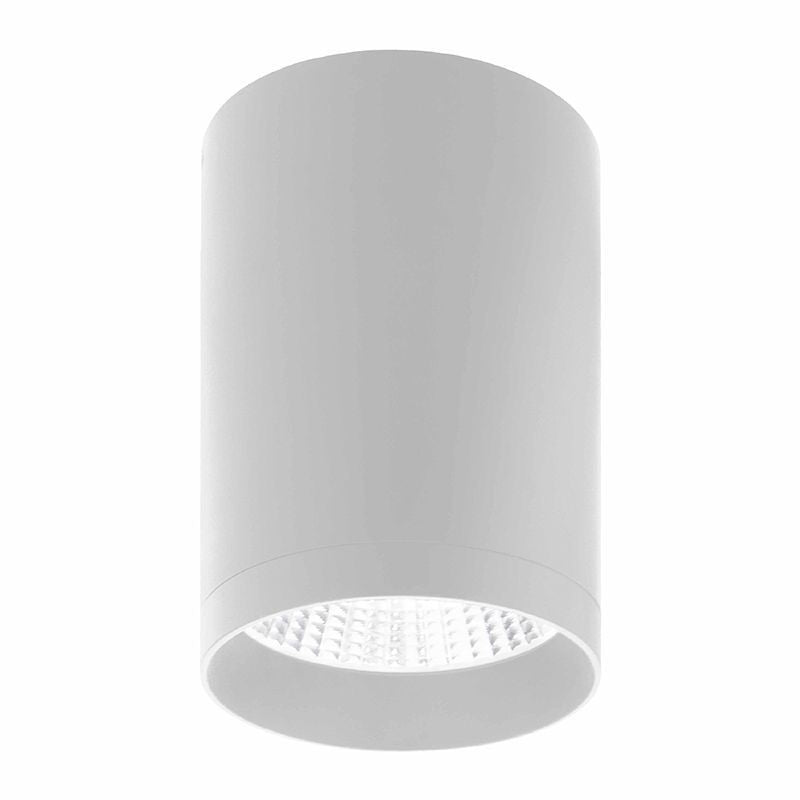 Ceiling Mount in White