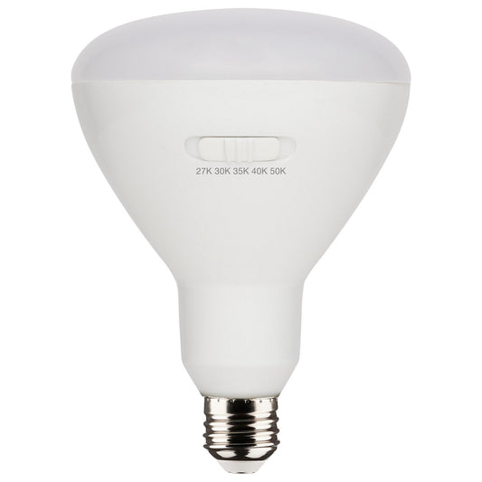 (4-Pack) Light Bulb in White