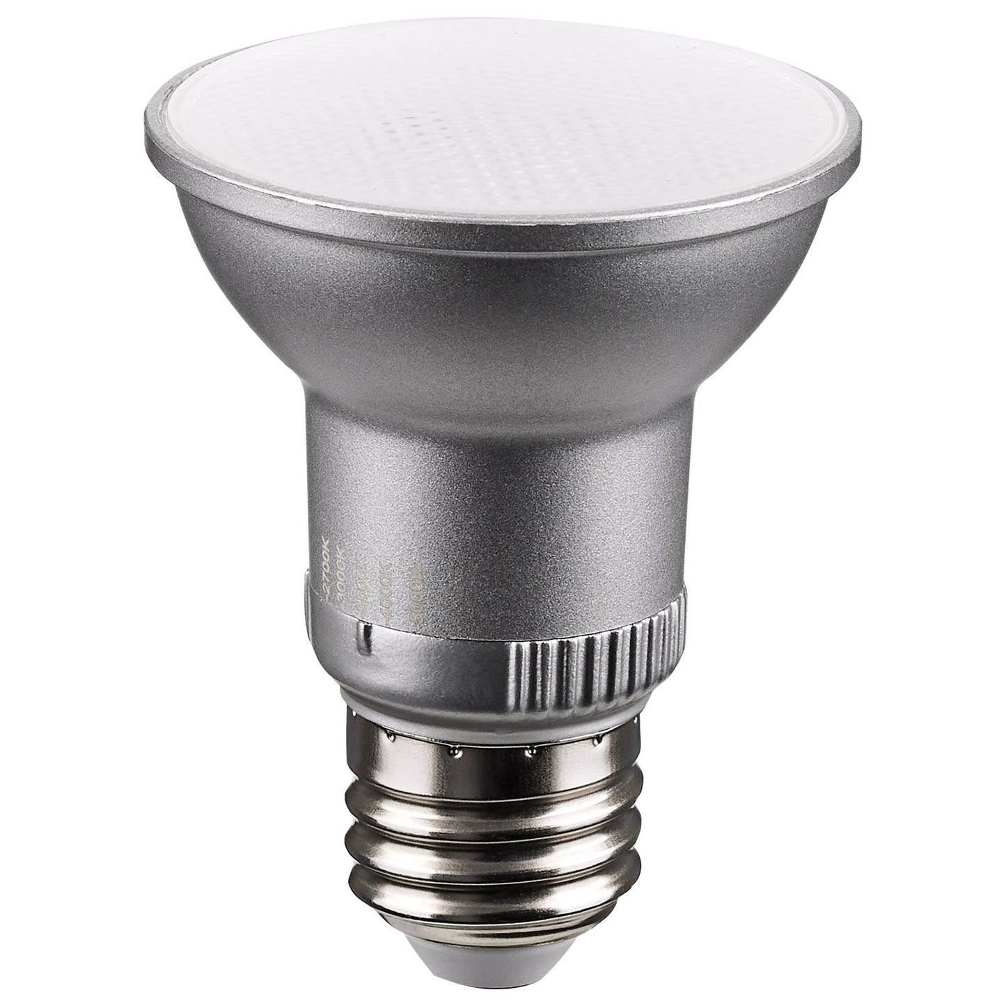 (4-Pack) Light Bulb in Silver