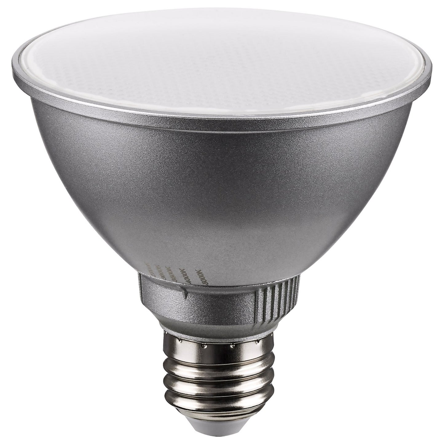 (4-Pack) Light Bulb in Silver