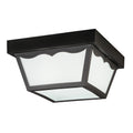 Outdoor Plastic Fixtures Two Light Outdoor Ceiling Mount in Black
