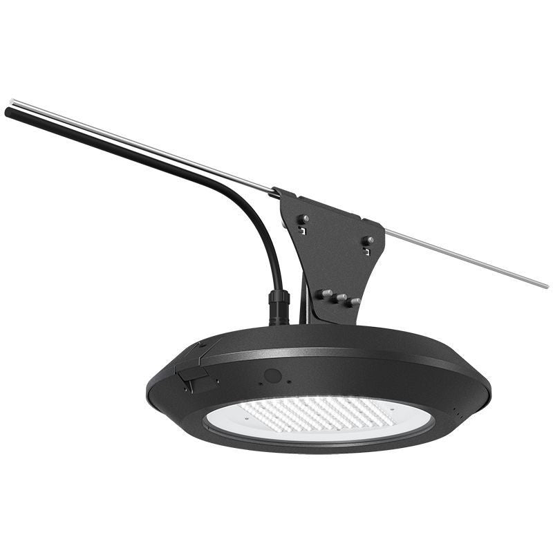 Westgate - GPX-18-60W-MCTP-CAT - Post Disk Light - Bronze