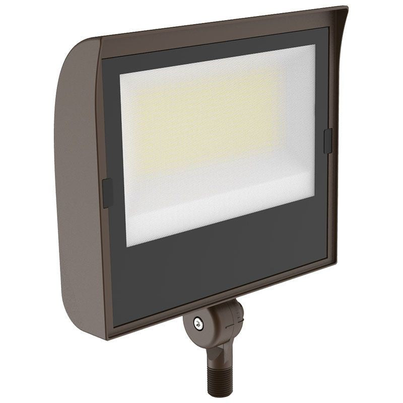 Flood Light in Bronze