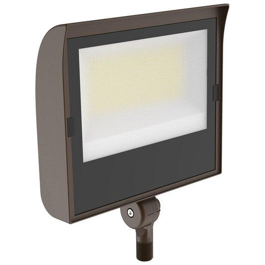 Flood Light in Bronze