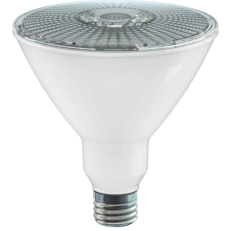 (4-Pack) Light Bulb