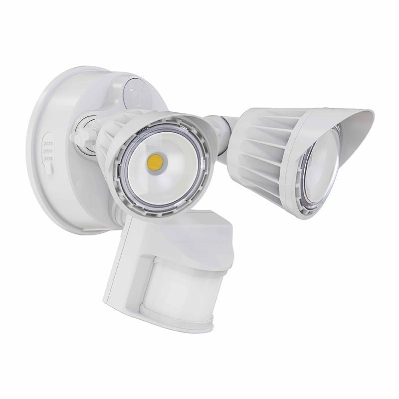 Security Light in White
