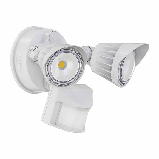 Security Light in White