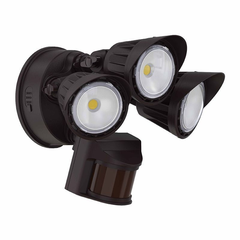 Security Light in Bronze