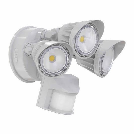 Security Light in White