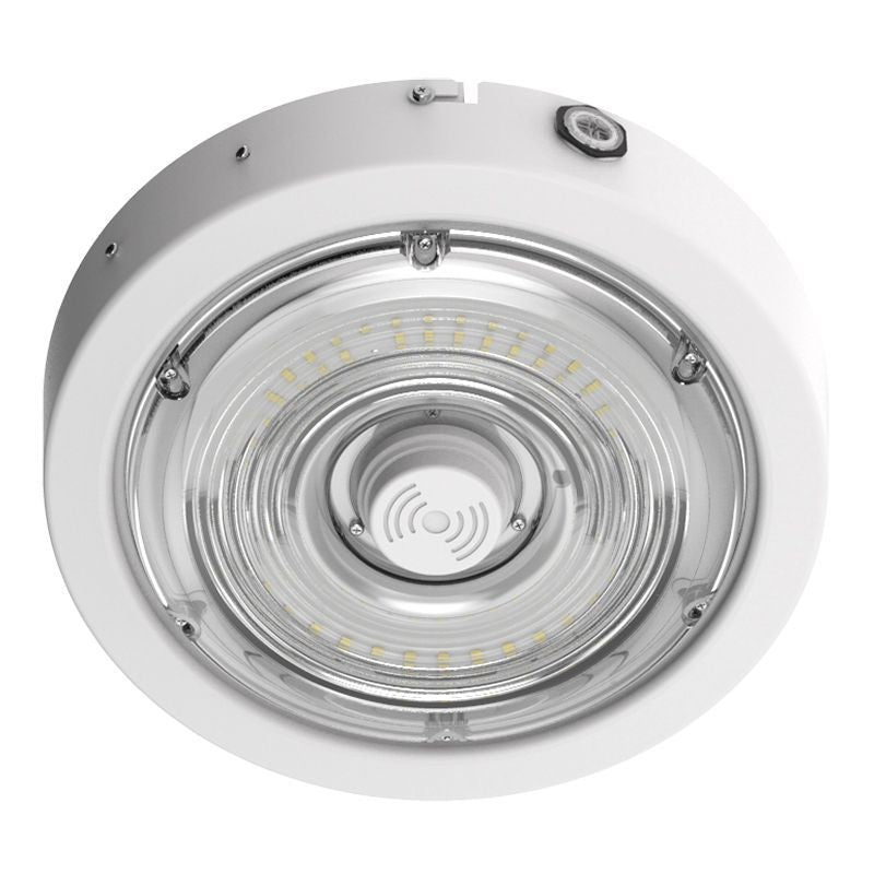 Canopy Light in White